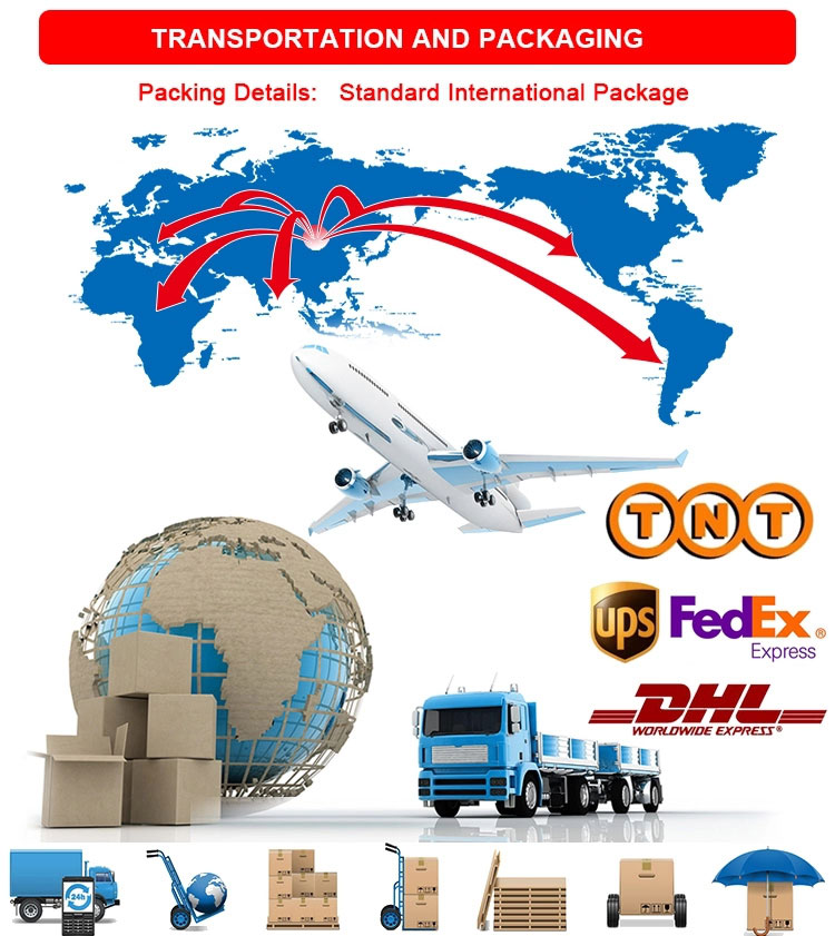 Europe International Power Cord delivery